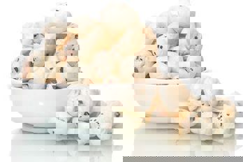 Fox Nut